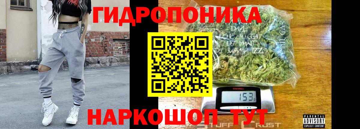 Конопля сатива Благовещенск